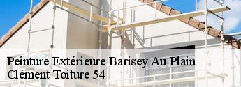 Peinture Extérieure  barisey-au-plain-54170 Clément Toiture 54