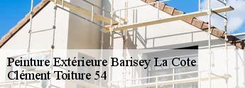 Peinture Extérieure  barisey-la-cote-54170 Clément Toiture 54