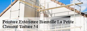 Peinture Extérieure  bienville-la-petite-54300 Clément Toiture 54