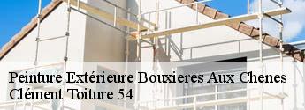 Peinture Extérieure  bouxieres-aux-chenes-54770 Clément Toiture 54