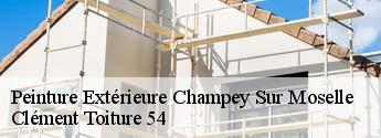 Peinture Extérieure  champey-sur-moselle-54700 Clément Toiture 54