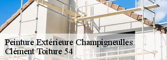 Peinture Extérieure  champigneulles-54250 Clément Toiture 54