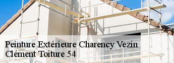 Peinture Extérieure  charency-vezin-54260 Clément Toiture 54