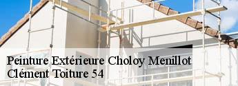 Peinture Extérieure  choloy-menillot-54200 Clément Toiture 54