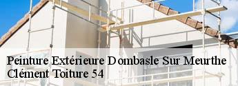 Peinture Extérieure  dombasle-sur-meurthe-54110 Clément Toiture 54