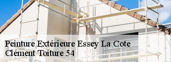 Peinture Extérieure  essey-la-cote-54830 Clément Toiture 54