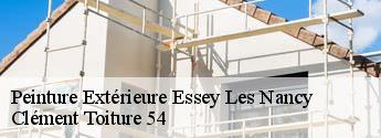 Peinture Extérieure  essey-les-nancy-54270 Clément Toiture 54