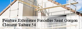 Peinture Extérieure  forcelles-saint-gorgon-54330 Clément Toiture 54