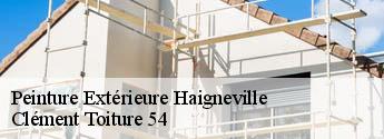 Peinture Extérieure  haigneville-54290 Clément Toiture 54