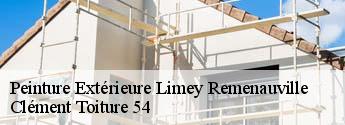 Peinture Extérieure  limey-remenauville-54470 Clément Toiture 54