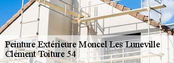 Peinture Extérieure  moncel-les-luneville-54300 Clément Toiture 54