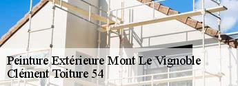 Peinture Extérieure  mont-le-vignoble-54113 Clément Toiture 54