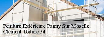 Peinture Extérieure  pagny-sur-moselle-54530 Clément Toiture 54