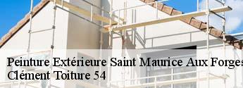 Peinture Extérieure  saint-maurice-aux-forges-54540 Clément Toiture 54