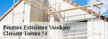 Peinture Extérieure  vaudigny-54740 Clément Toiture 54