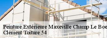 Peinture Extérieure  maxeville-champ-le-boeuf-54320 Clément Toiture 54