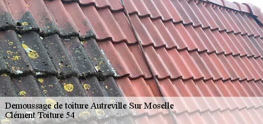 Demoussage de toiture  autreville-sur-moselle-54380 Clément Toiture 54