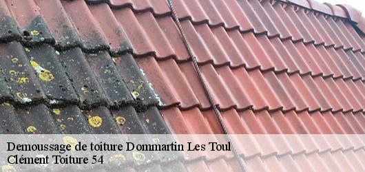 Demoussage de toiture  dommartin-les-toul-54200 Clément Toiture 54