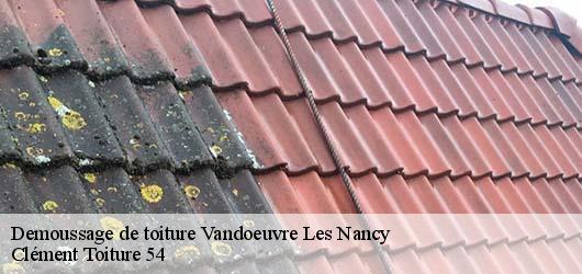 Demoussage de toiture  vandoeuvre-les-nancy-54500 Clément Toiture 54