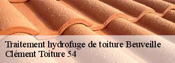 Traitement hydrofuge de toiture  beuveille-54620 Clément Toiture 54