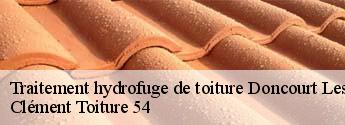 Traitement hydrofuge de toiture  doncourt-les-longuyon-54620 Clément Toiture 54