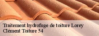 Traitement hydrofuge de toiture  lorey-54290 Clément Toiture 54