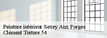 Peinture intérieur  sexey-aux-forges-54550 Clément Toiture 54